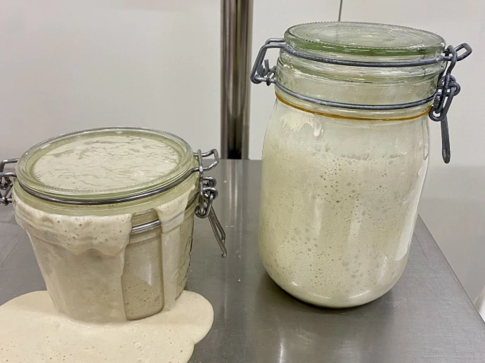 Levain maison