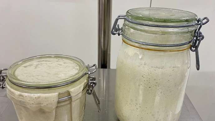 levain