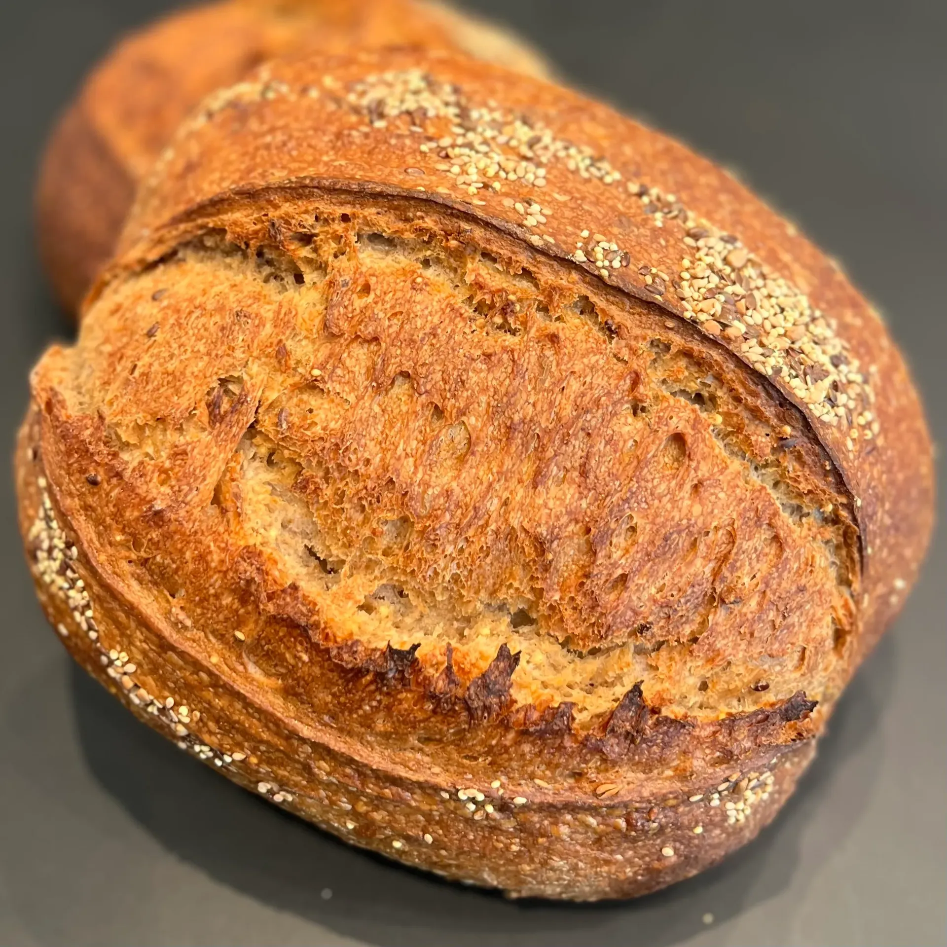 [WEBcg8] Campagne Graine (800g)