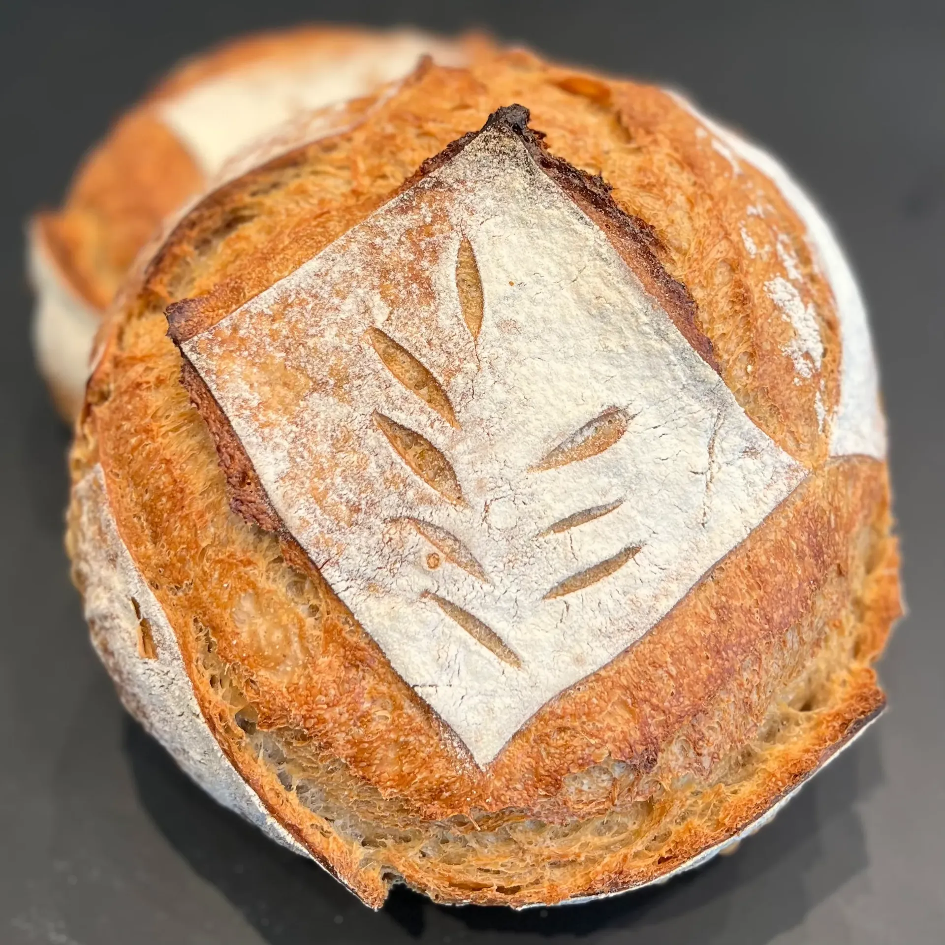 Epeautre (800g)